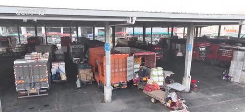 年貨市場消費旺 菜籃子 供得上 確保群眾歡樂祥和過節(jié)